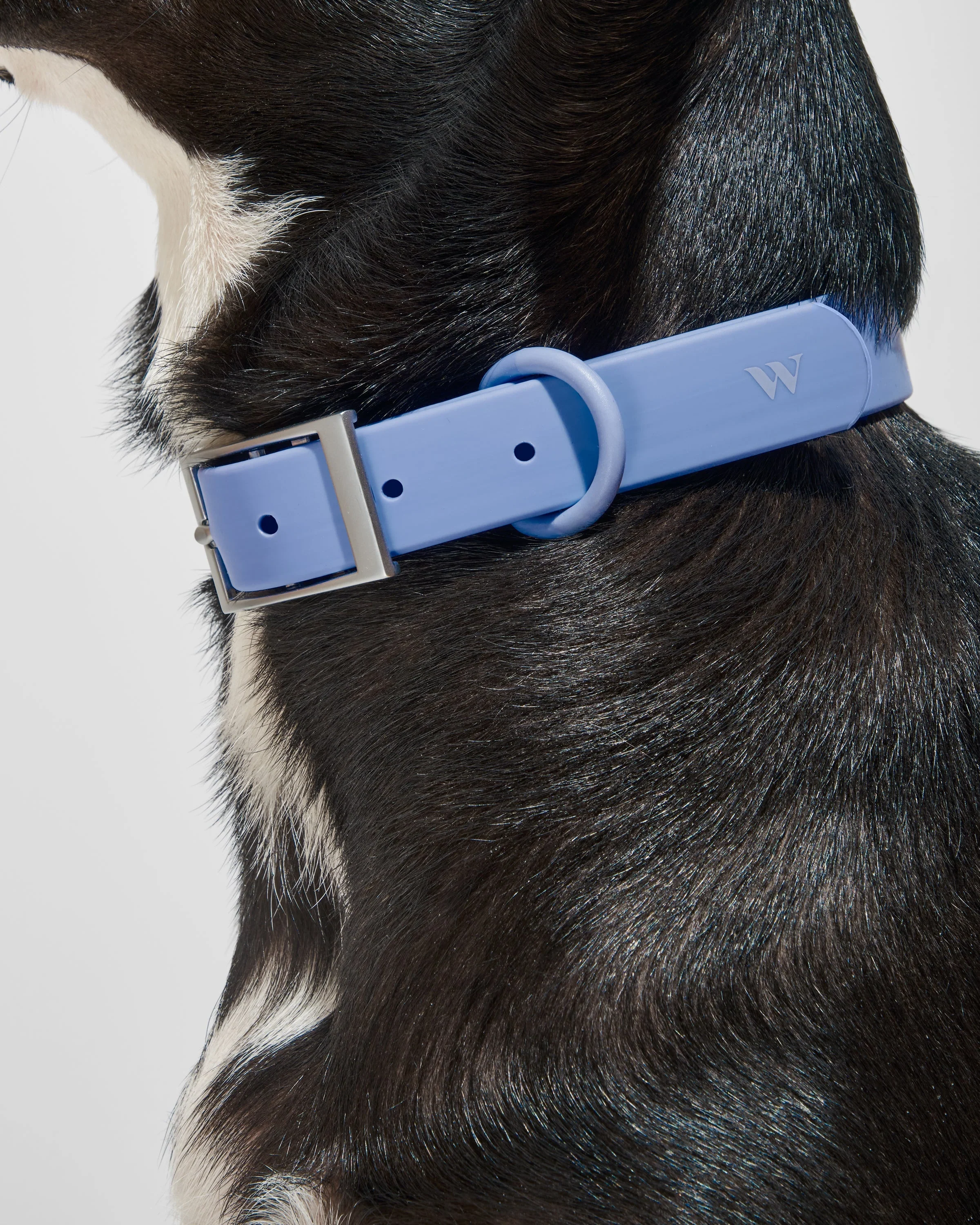 Waterproof Dog Collar - Image 8
