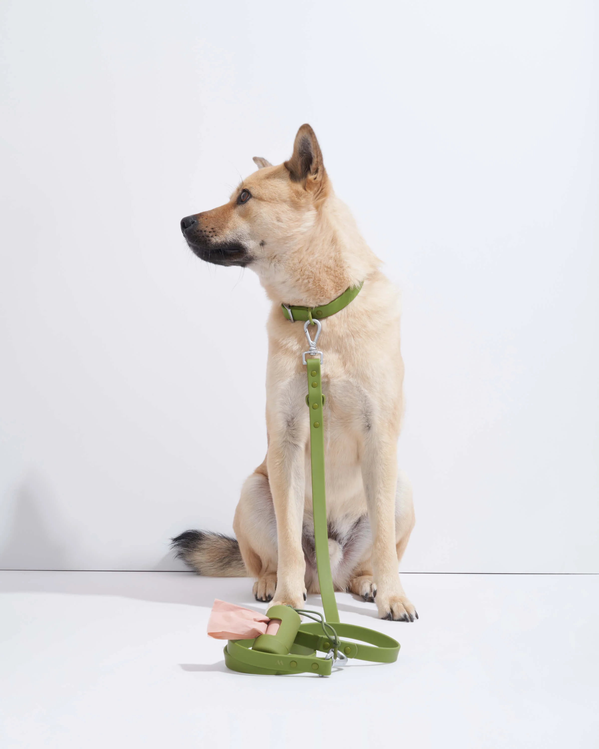 Waterproof Dog Collar - Image 80