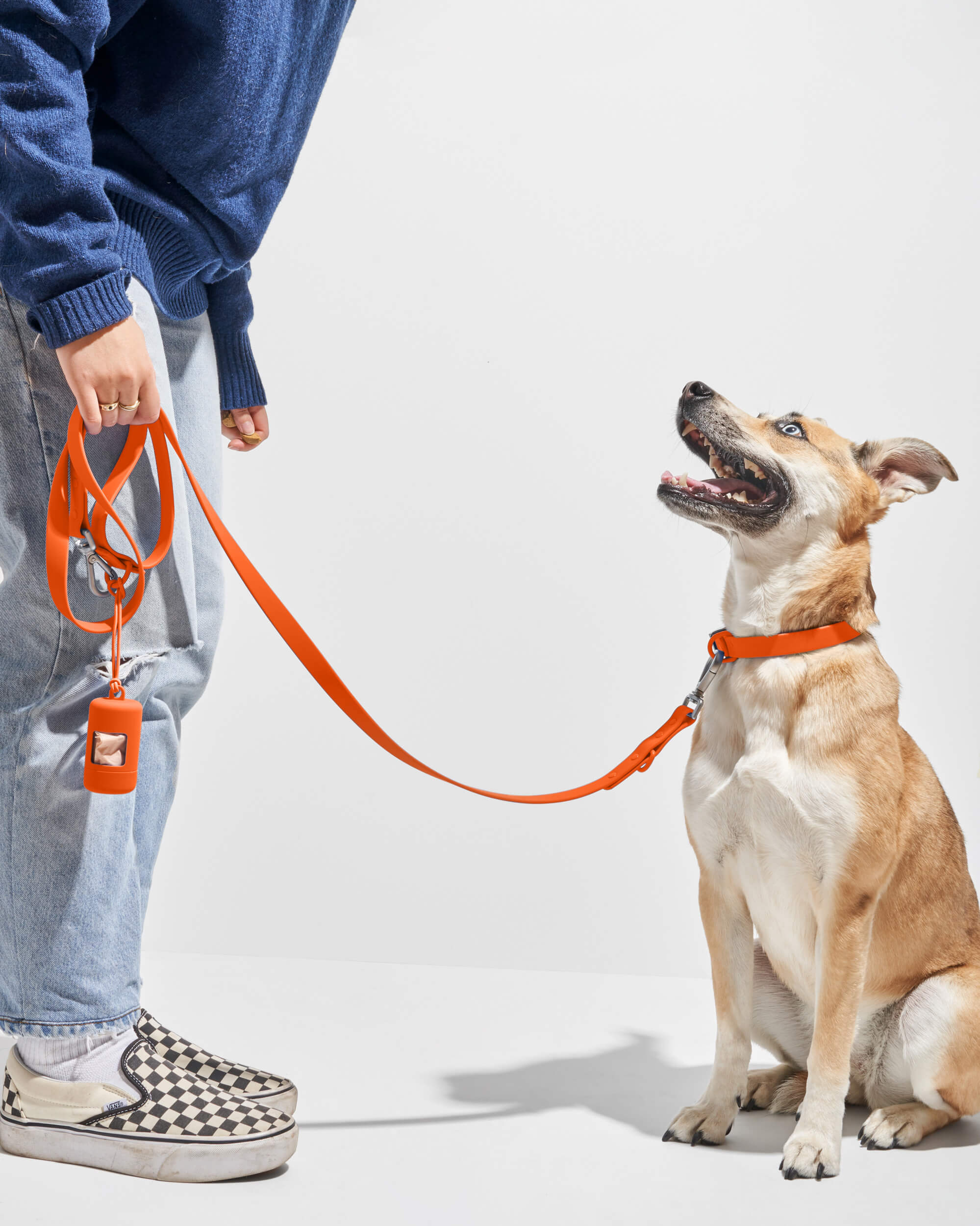 Waterproof Dog Collar - Image 85