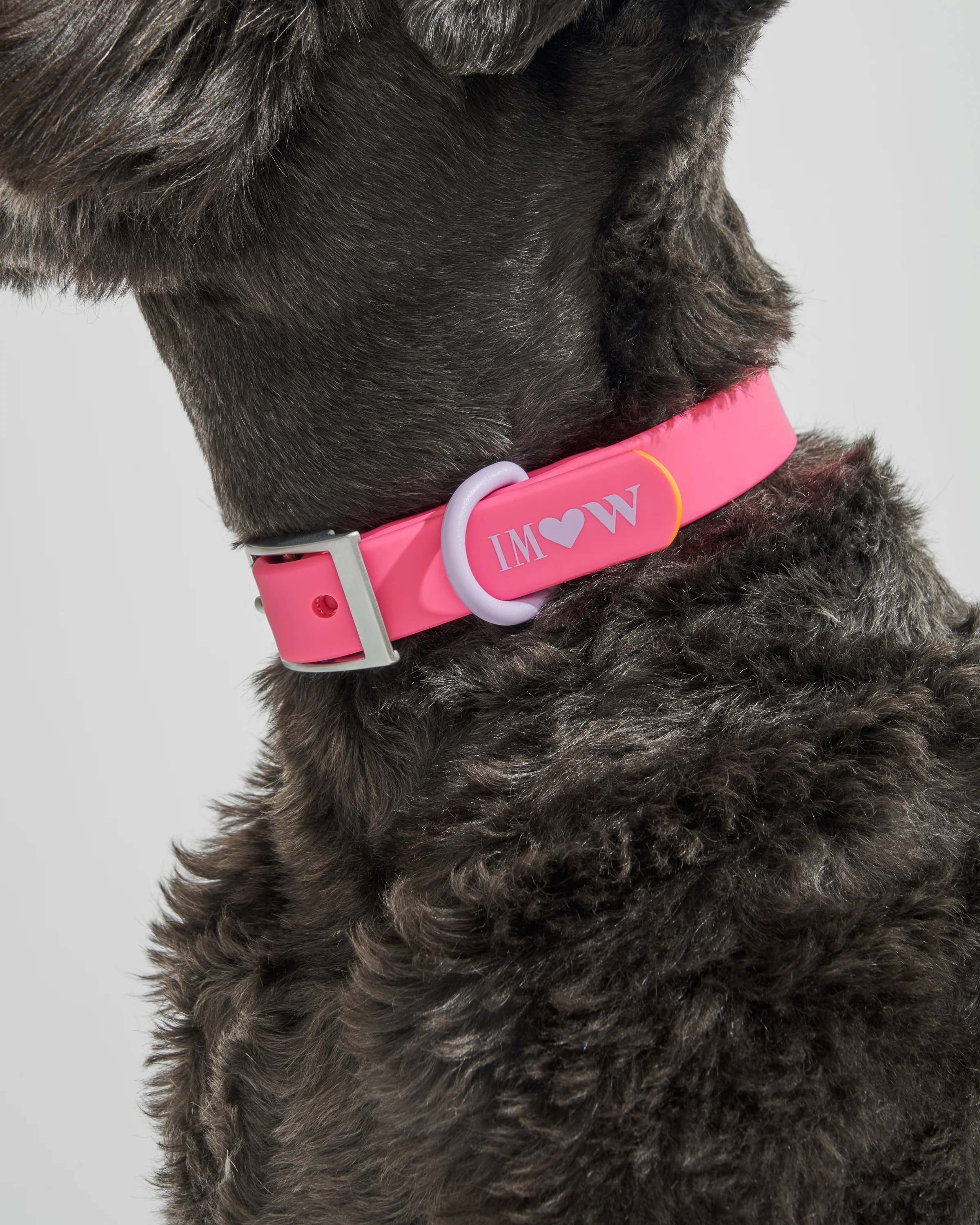 Waterproof Dog Collar - Image 89