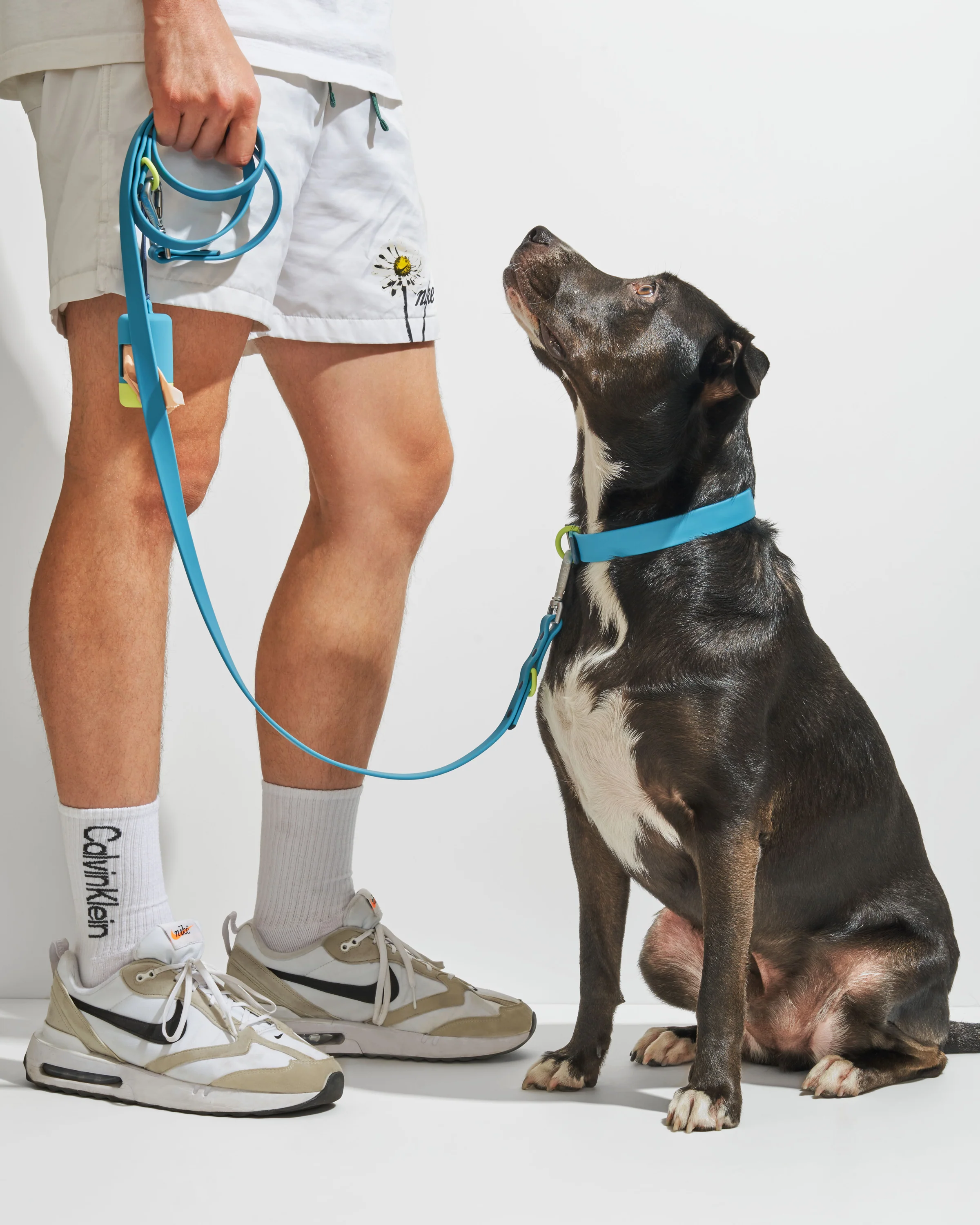 Waterproof Dog Collar - Image 97