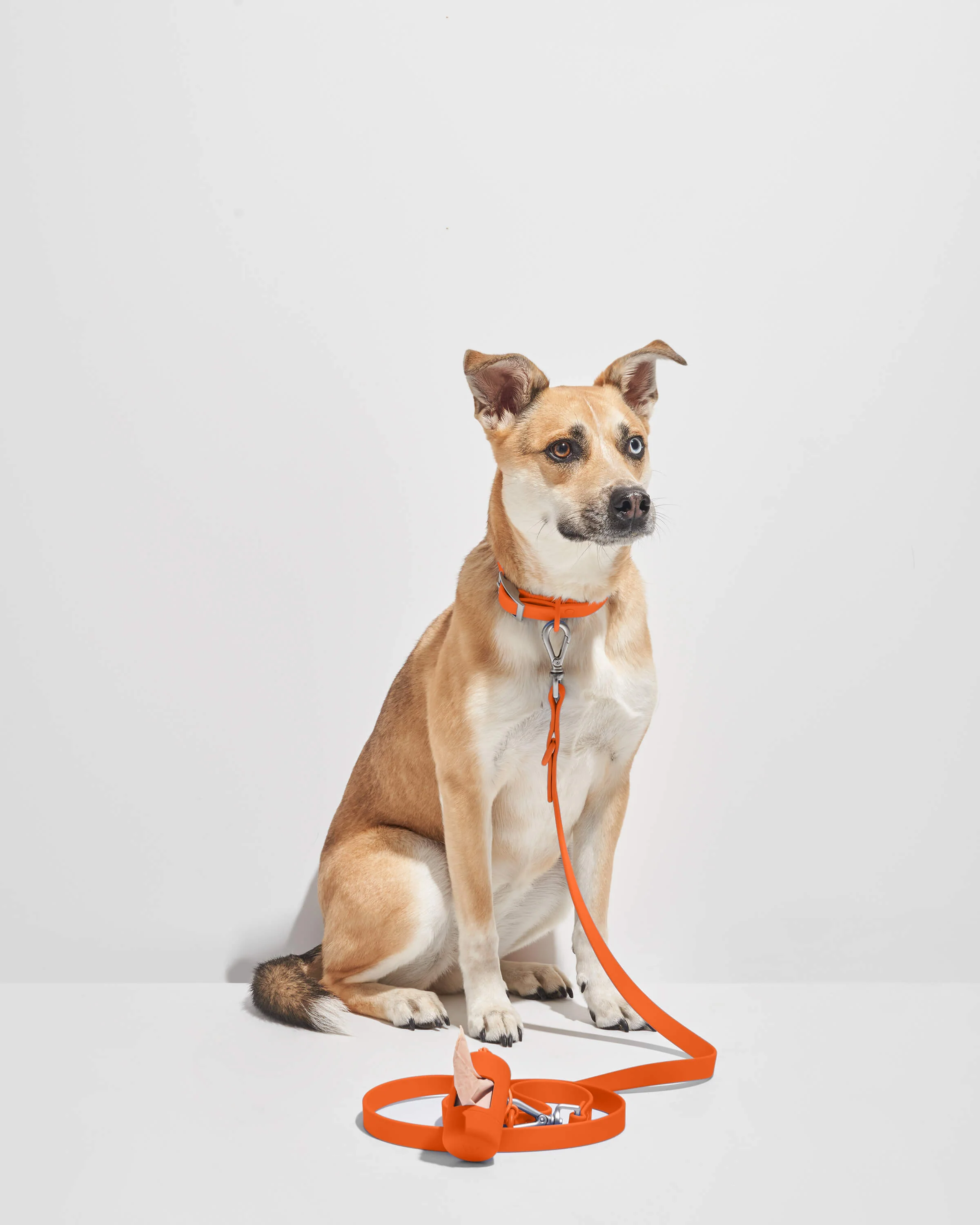 Waterproof Dog Leash - Image 18
