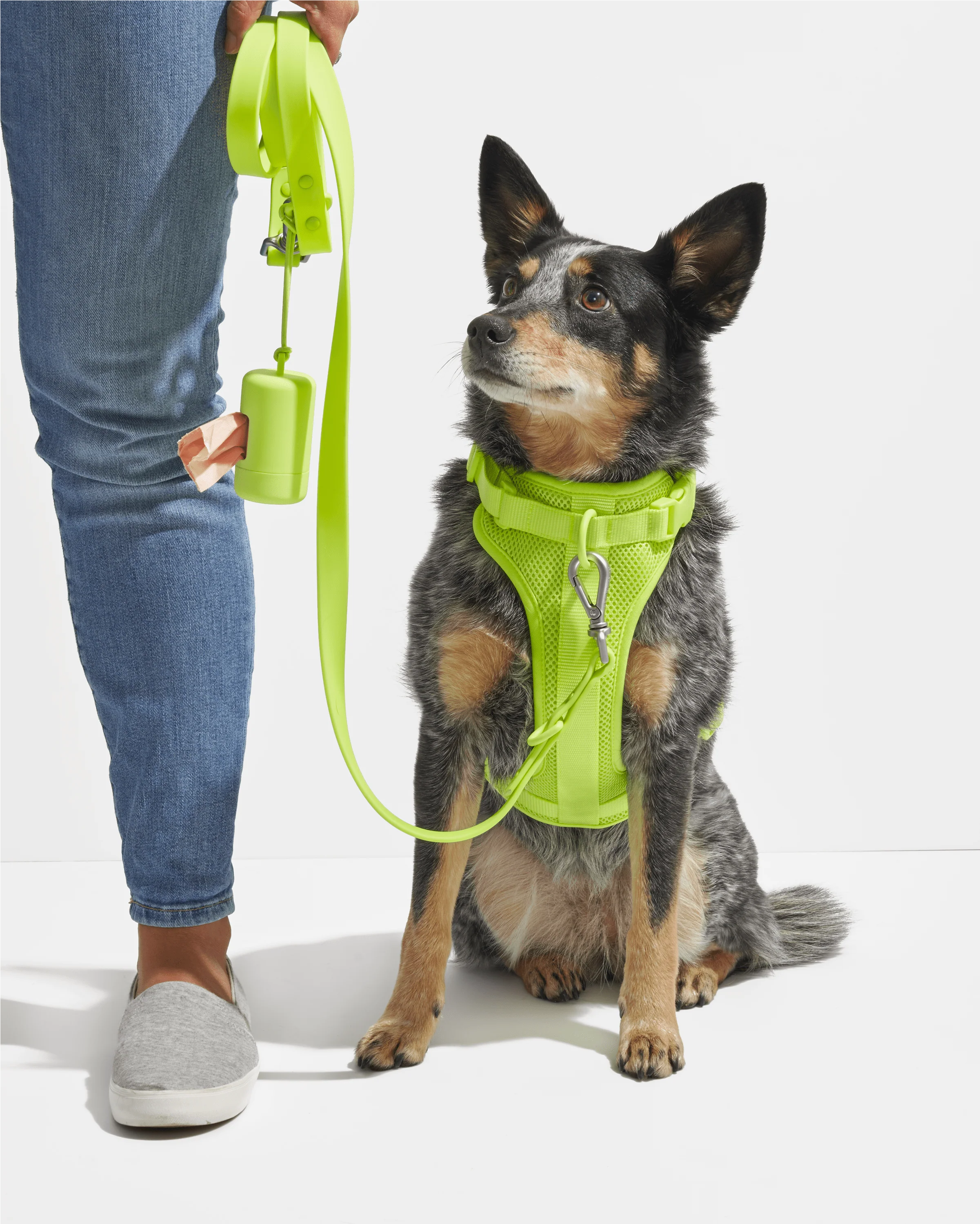 Waterproof Dog Leash - Image 29