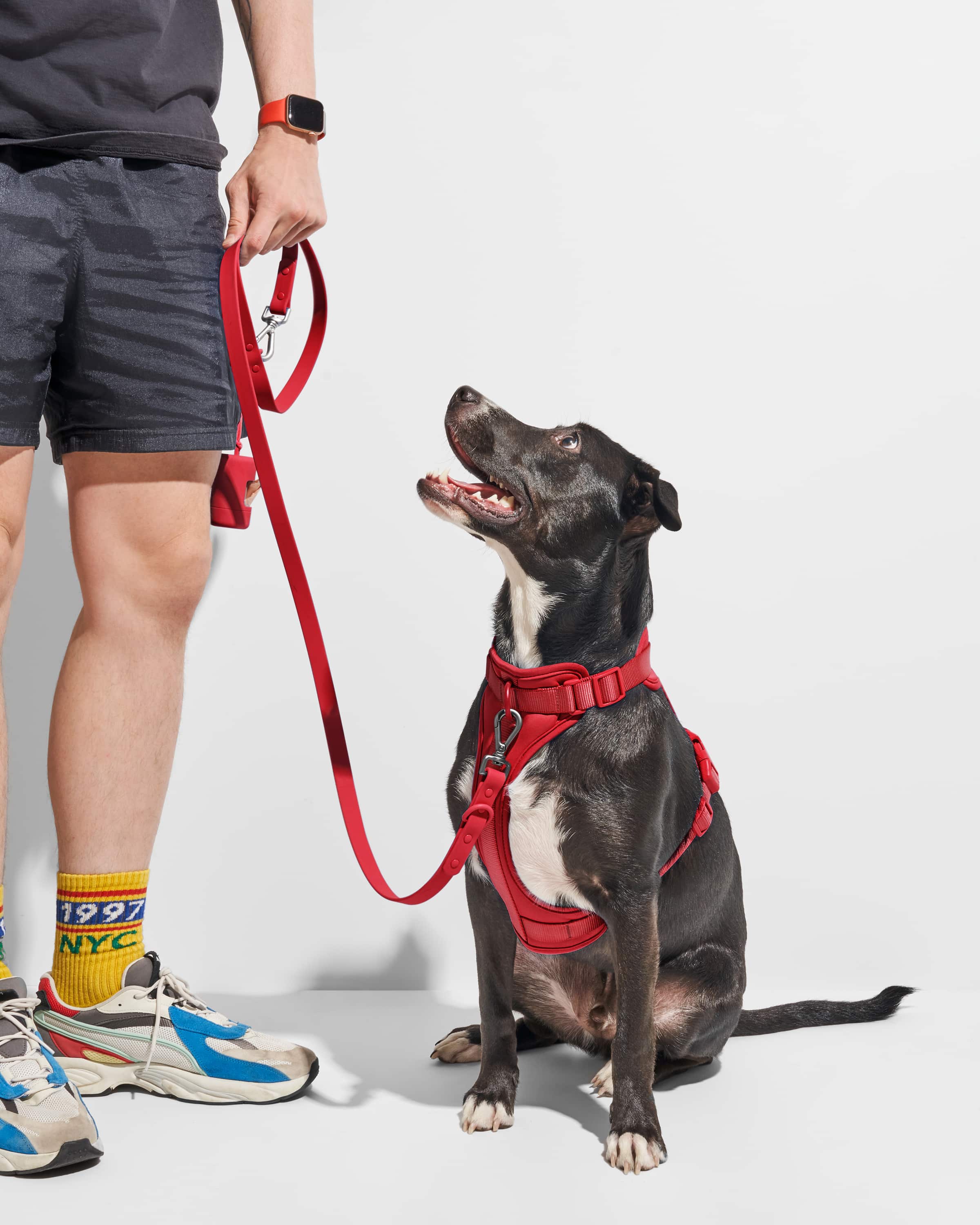 Waterproof Dog Leash - Image 34