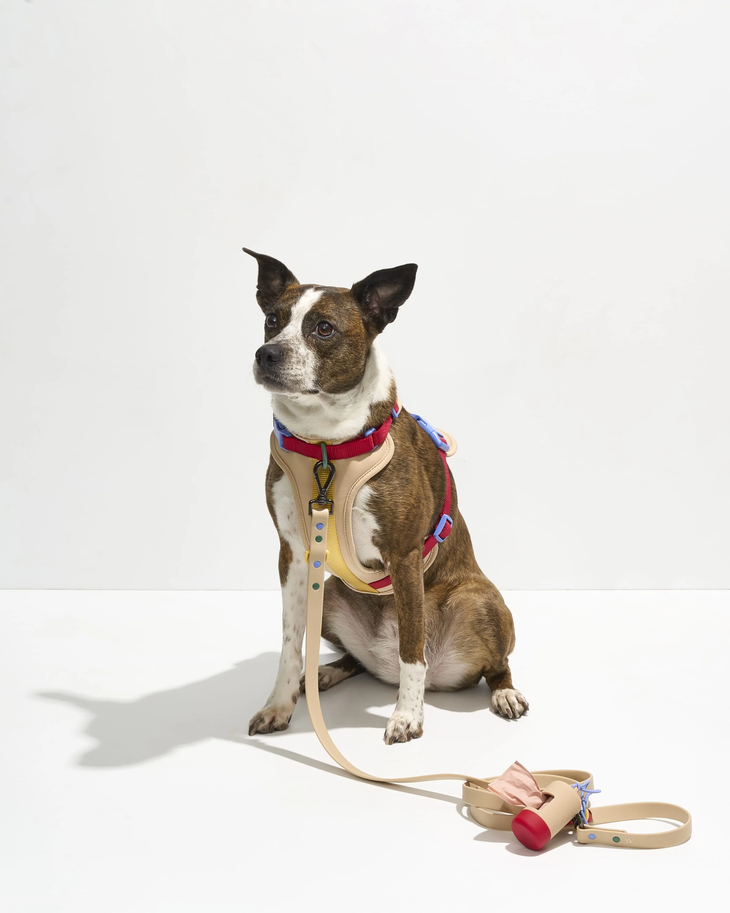 Waterproof Dog Leash - Image 4