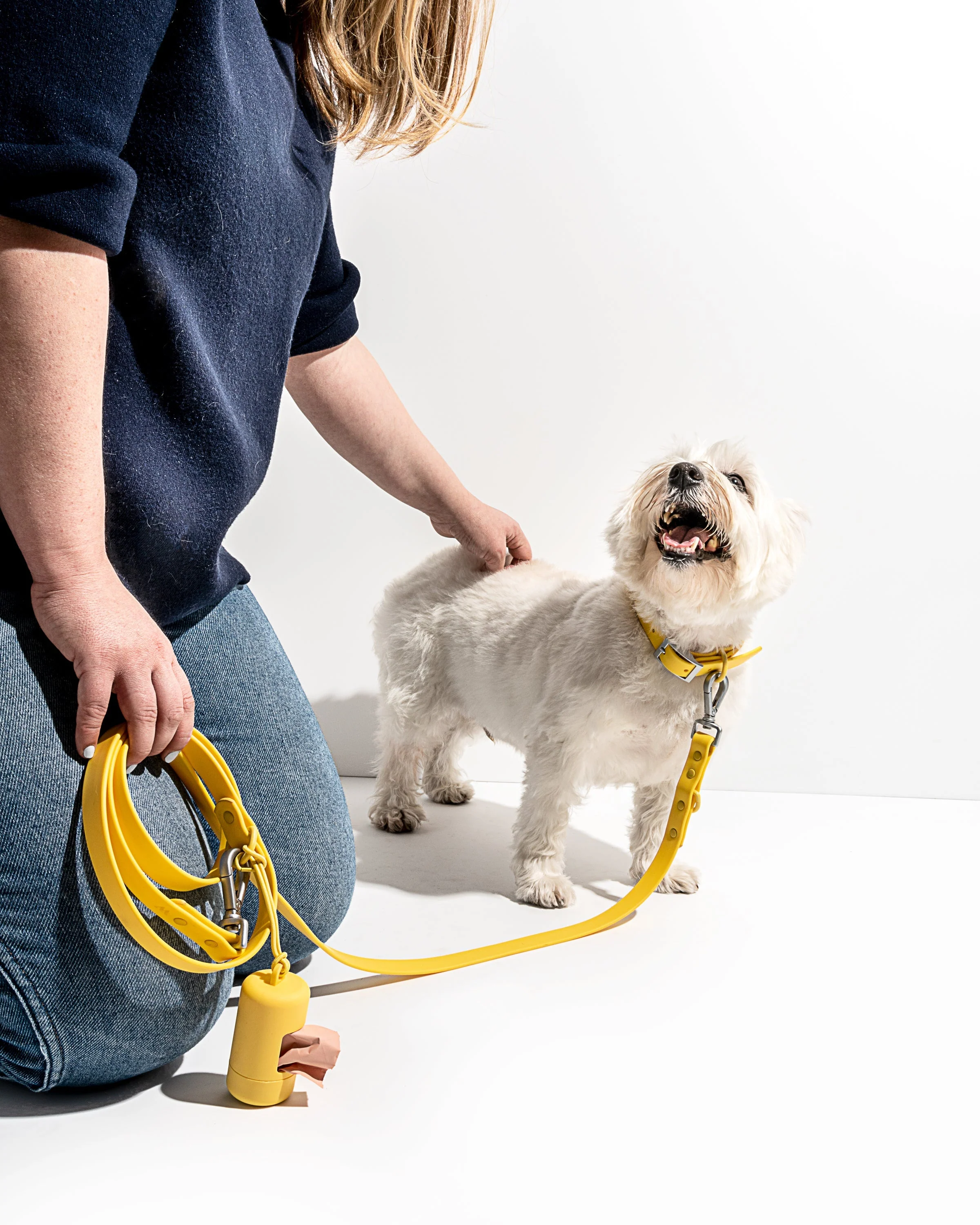 Waterproof Dog Leash - Image 40