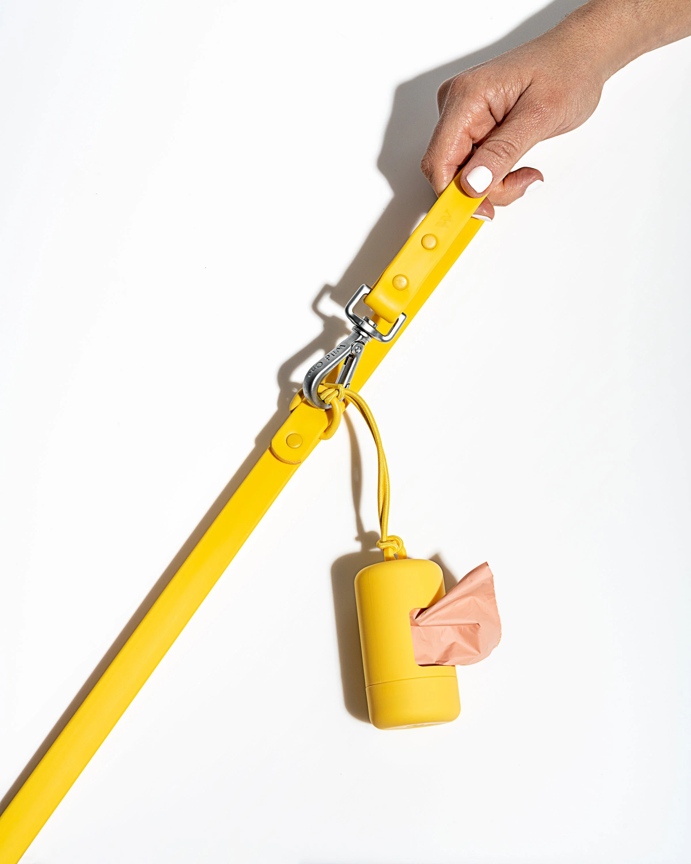 Waterproof Dog Leash - Image 42