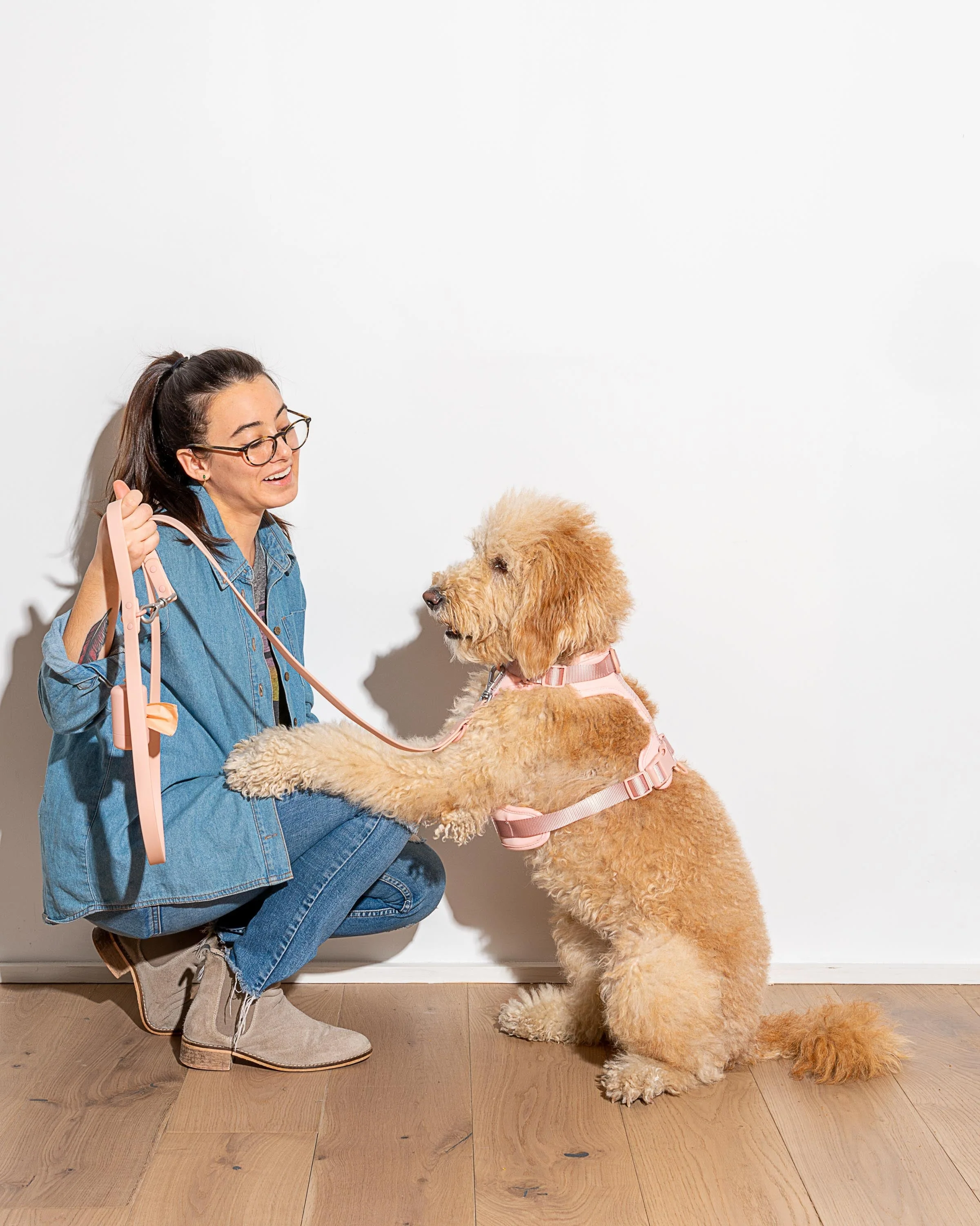 Waterproof Dog Leash - Image 46