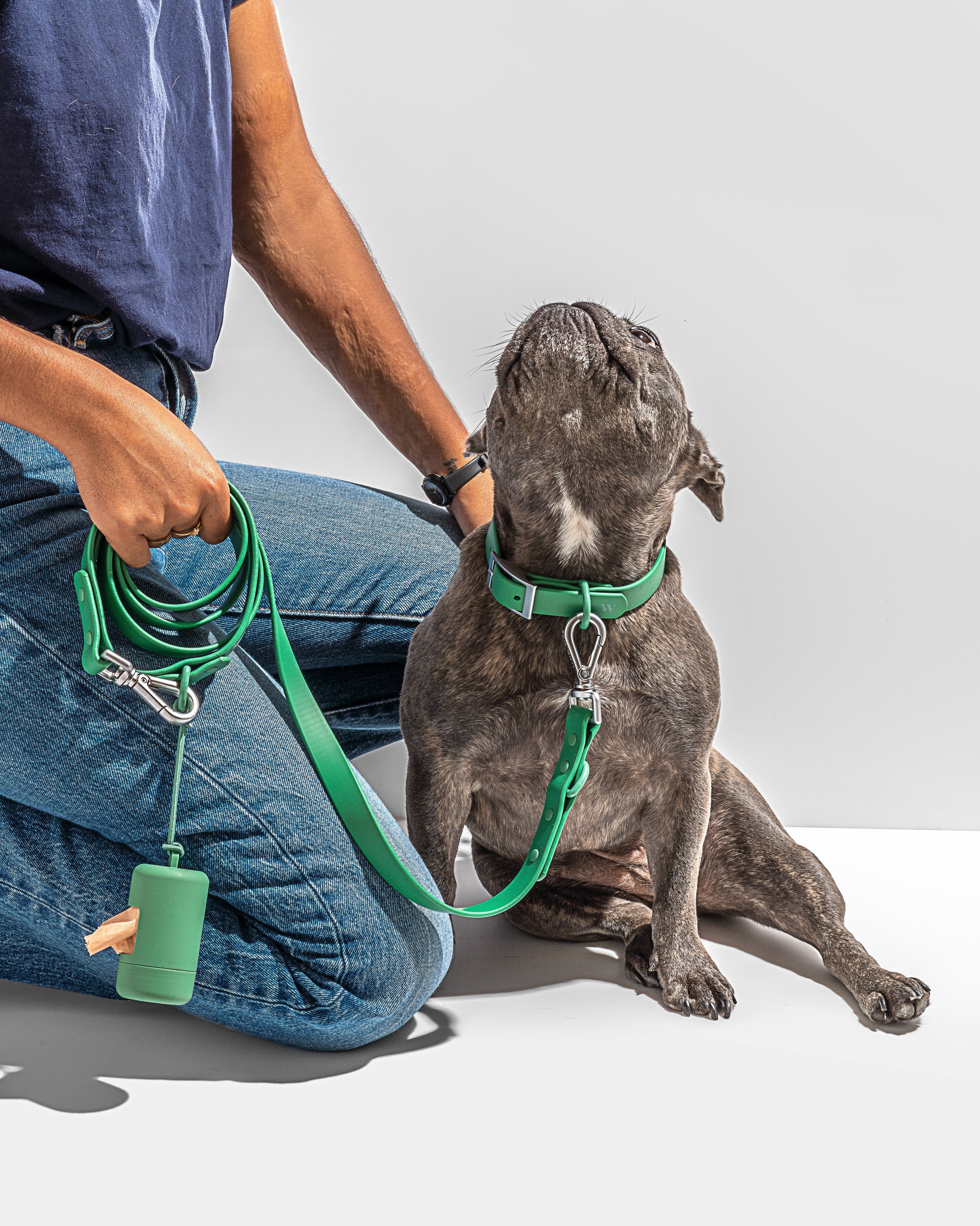 Waterproof Dog Leash - Image 53