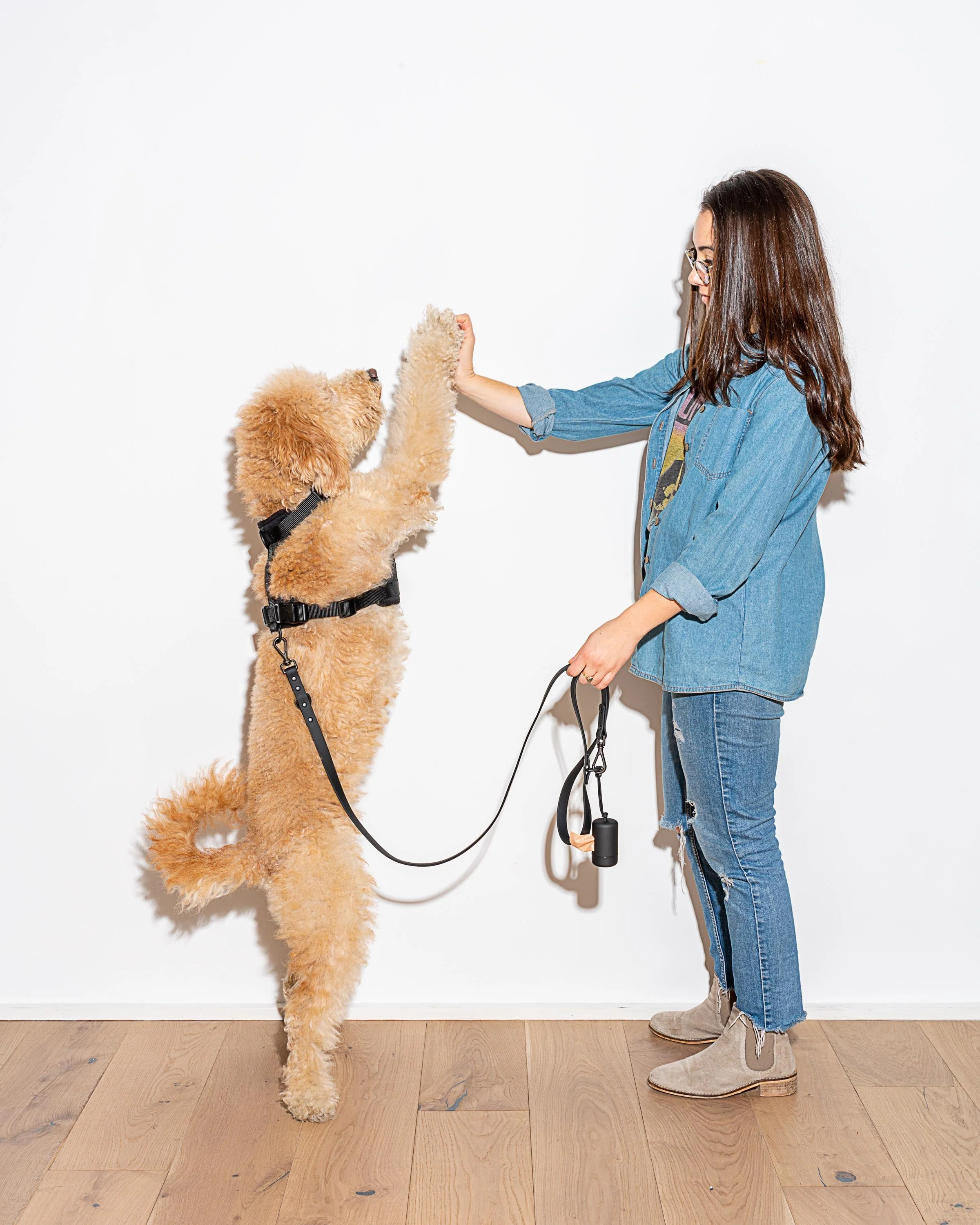 Waterproof Dog Leash - Image 57