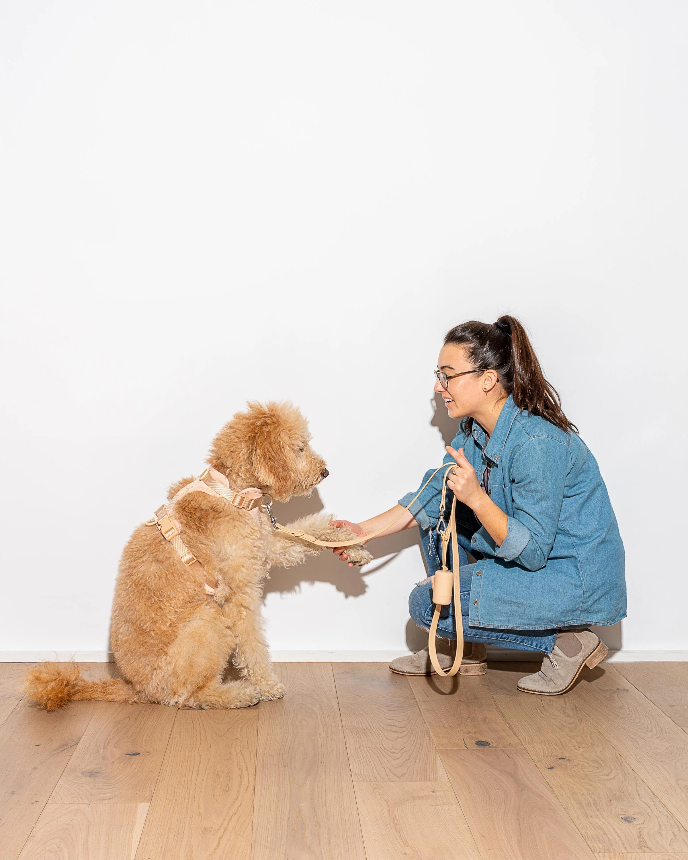 Waterproof Dog Leash - Image 61