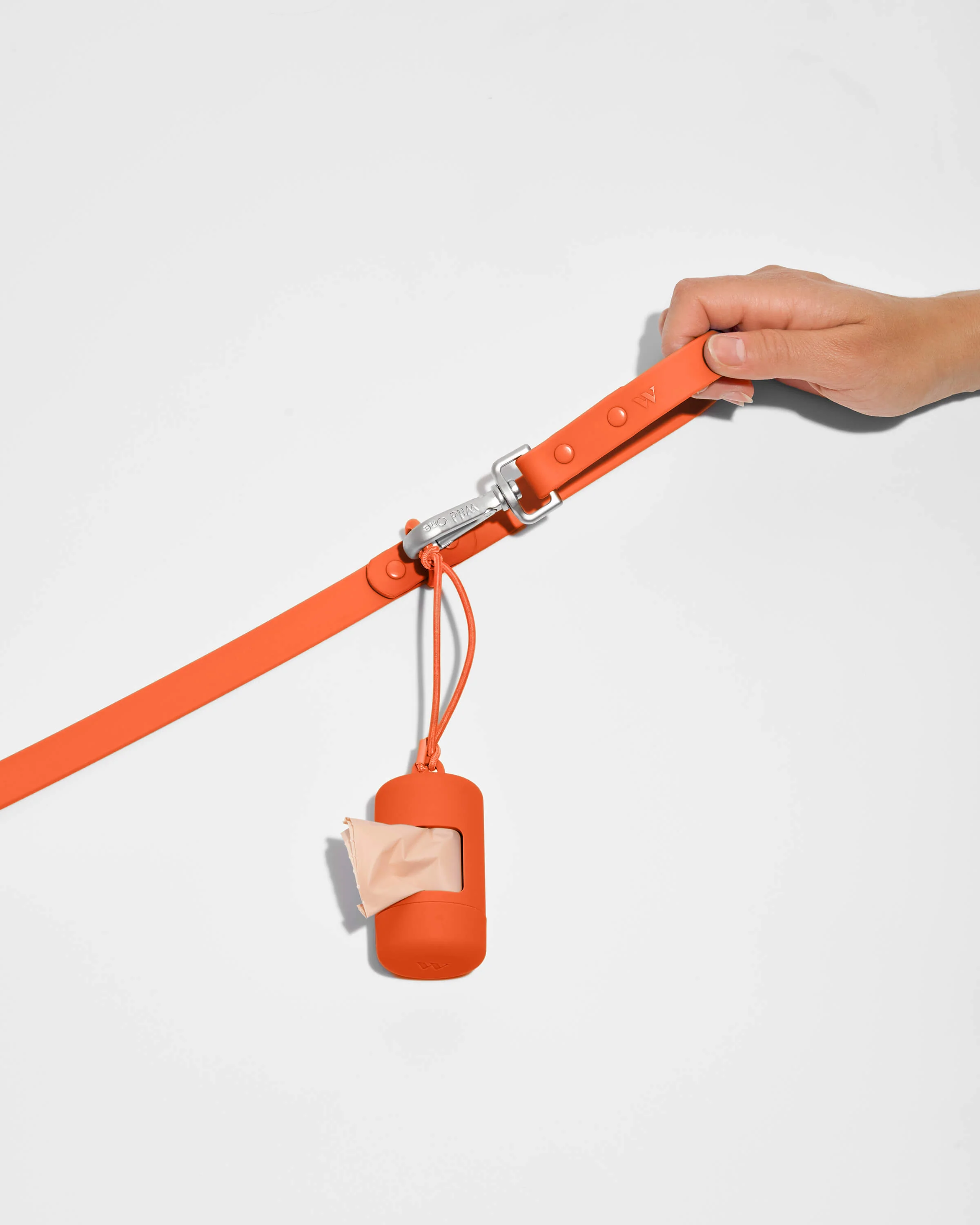 Waterproof Dog Leash - Image 69