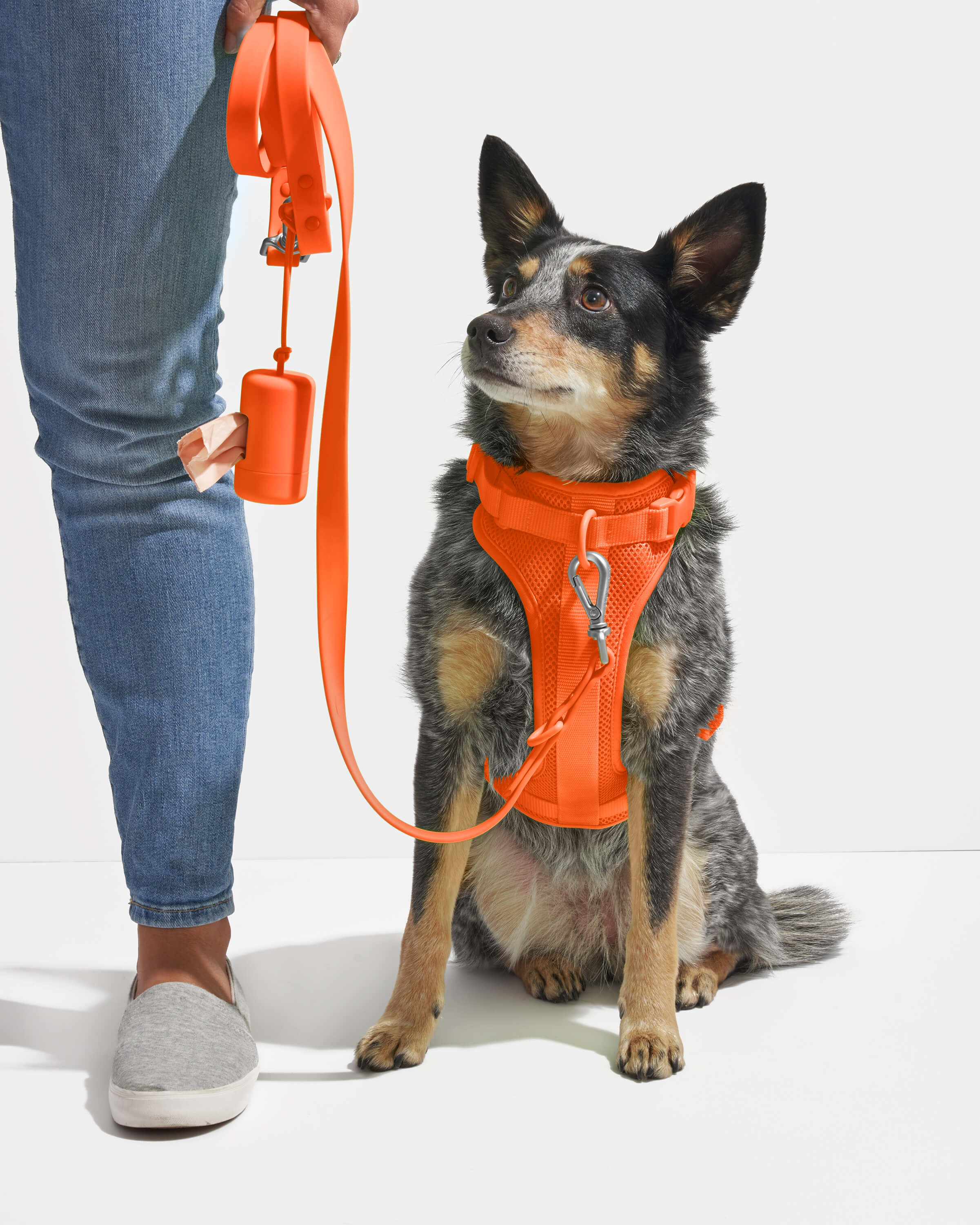 Waterproof Dog Leash - Image 70