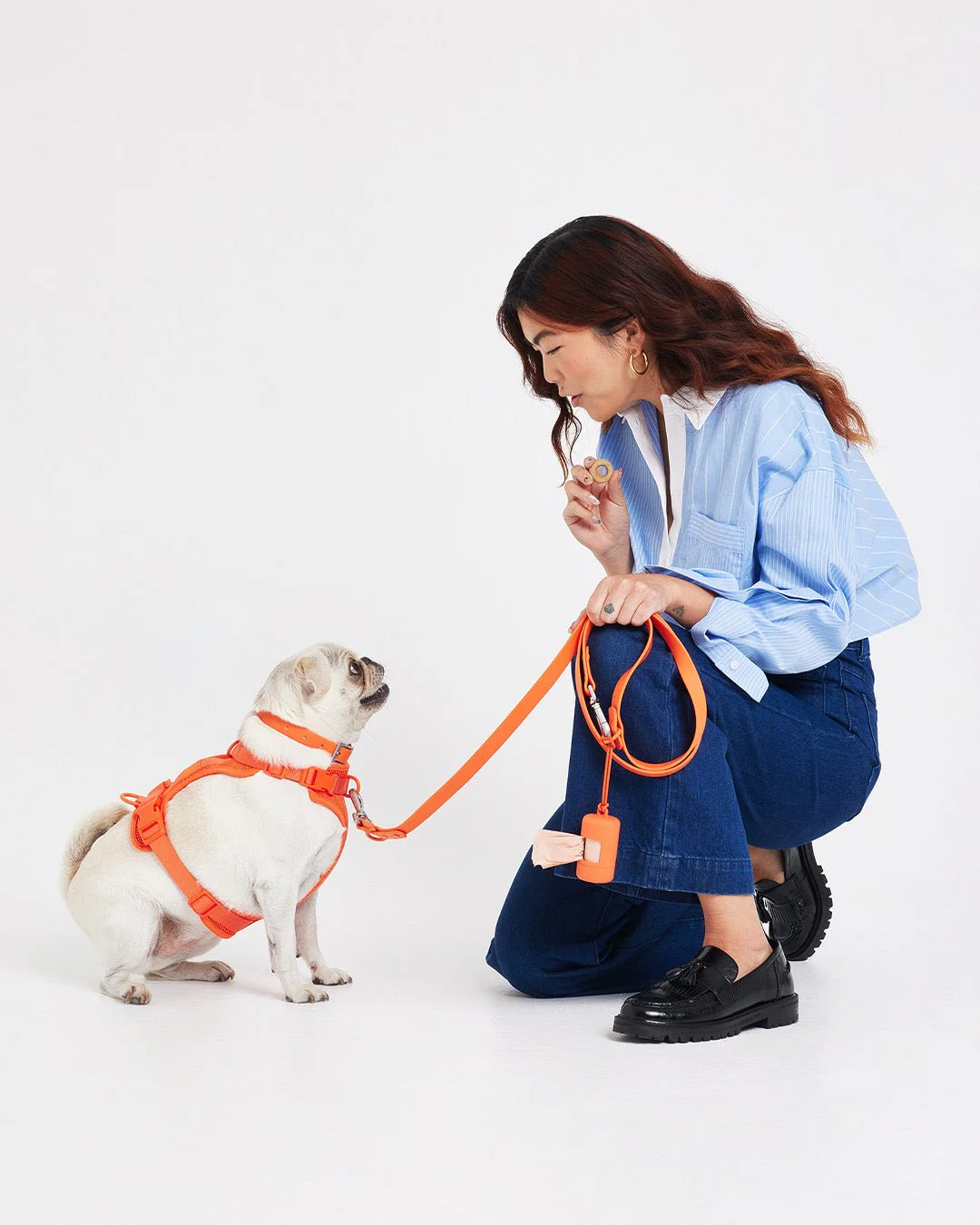 Waterproof Dog Leash - Image 71