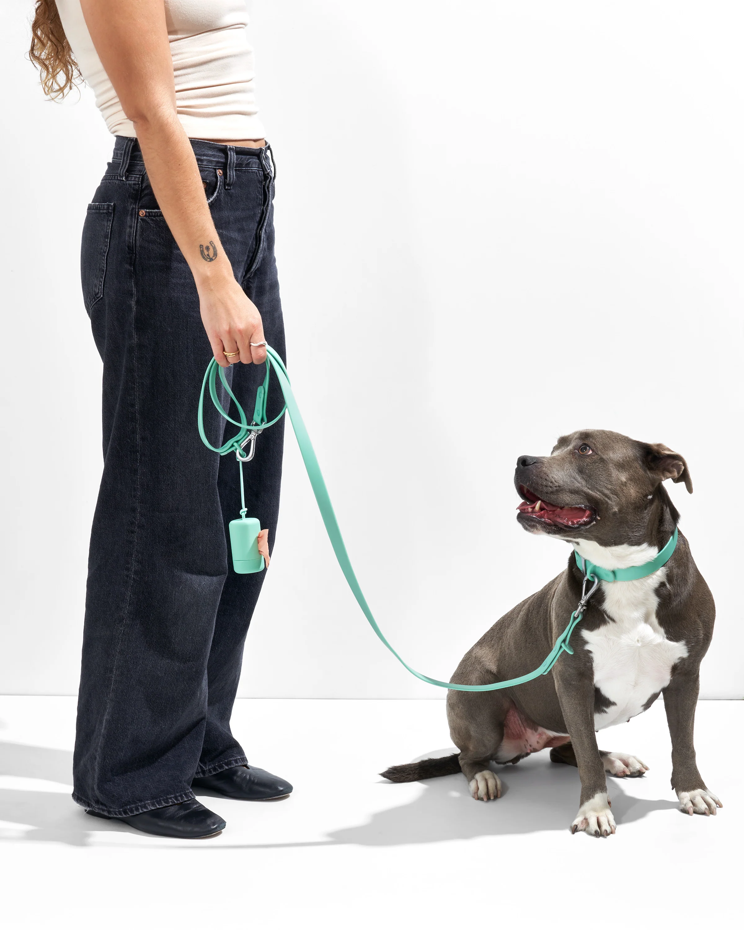 Waterproof Dog Leash - Image 8
